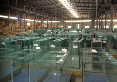 三顧定位咨詢與睿美水族簽約，共繪水族產業品牌新藍圖